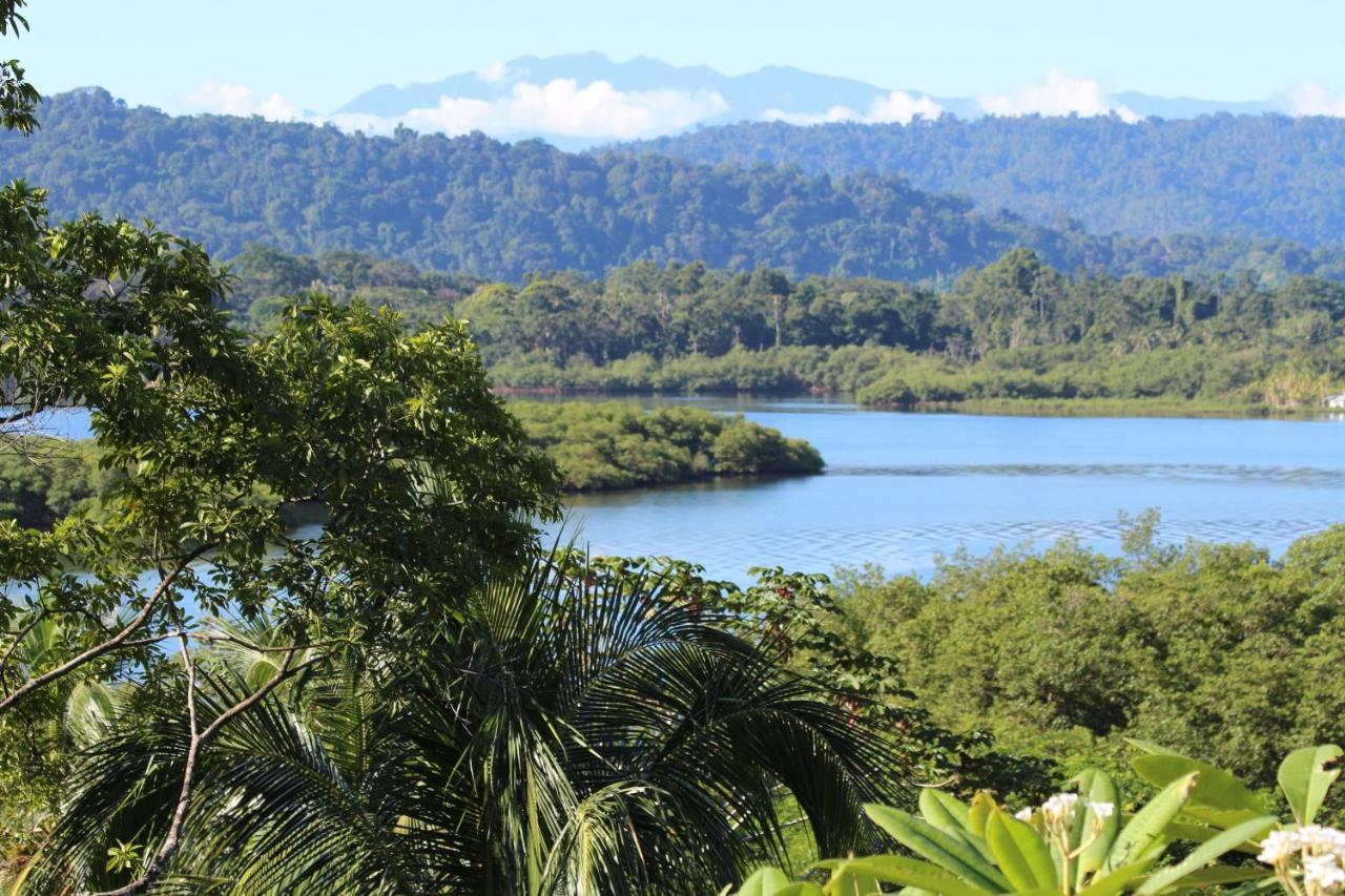 Eden Jungle Lodge Бокас-дель-Торо Экстерьер фото