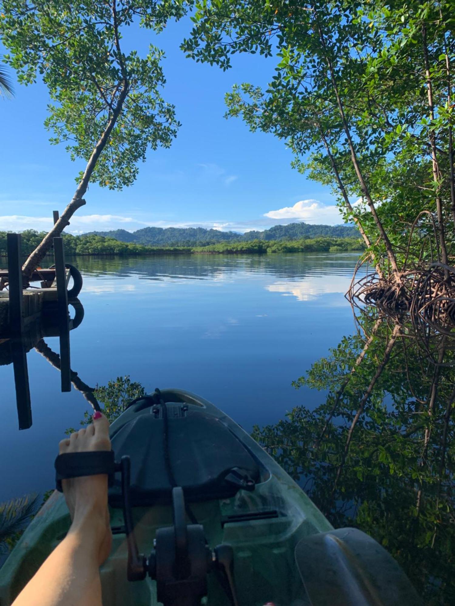 Eden Jungle Lodge Бокас-дель-Торо Экстерьер фото