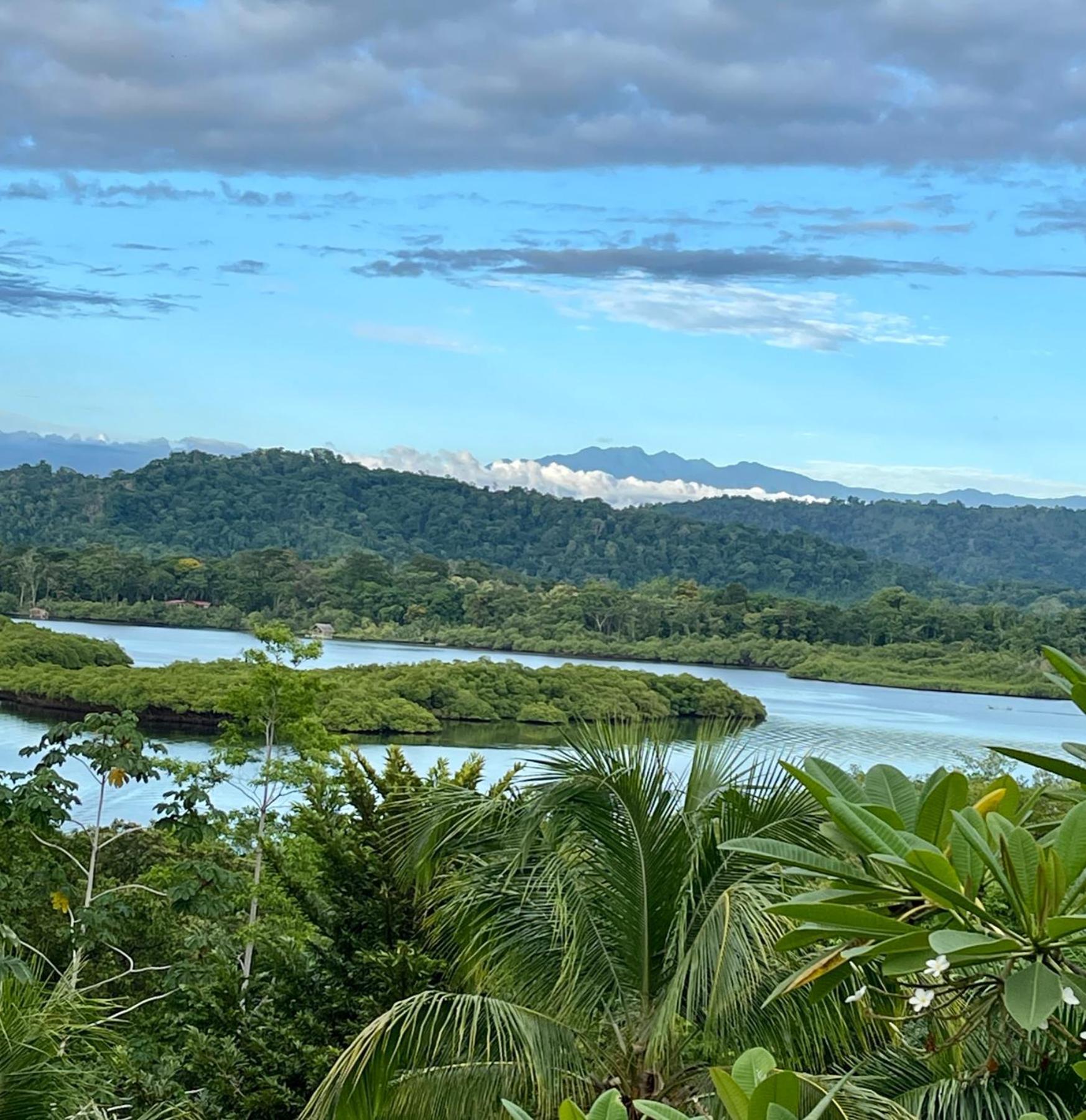 Eden Jungle Lodge Бокас-дель-Торо Экстерьер фото